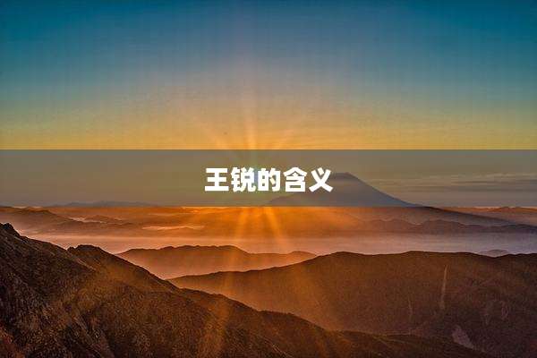 王锐的含义