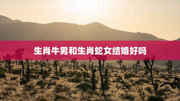 生肖牛男和生肖蛇女结婚好吗