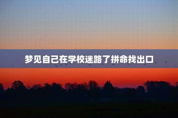 梦见自己在学校迷路了拼命找出口