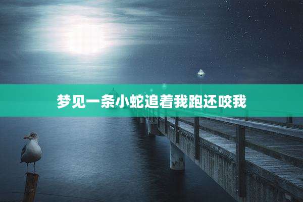 梦见一条小蛇追着我跑还咬我