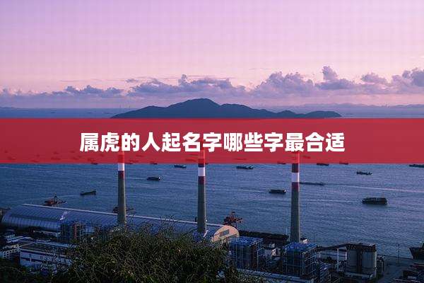 属虎的人起名字哪些字最合适