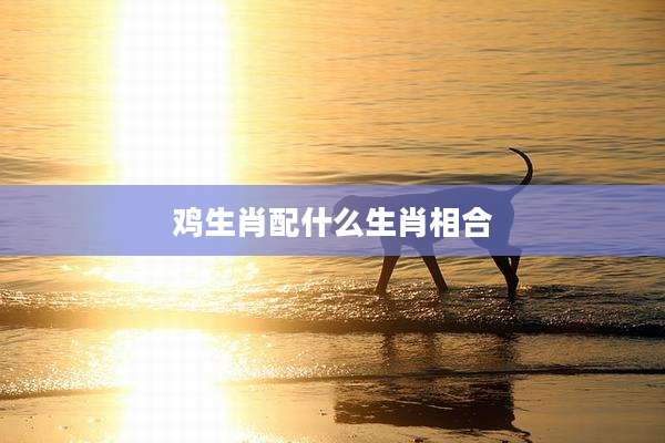 鸡生肖配什么生肖相合