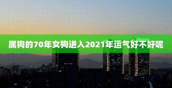 属狗的70年女狗进入2021年运气好不好呢