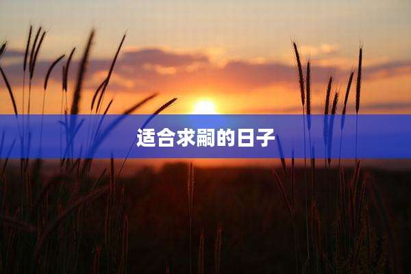 适合求嗣的日子