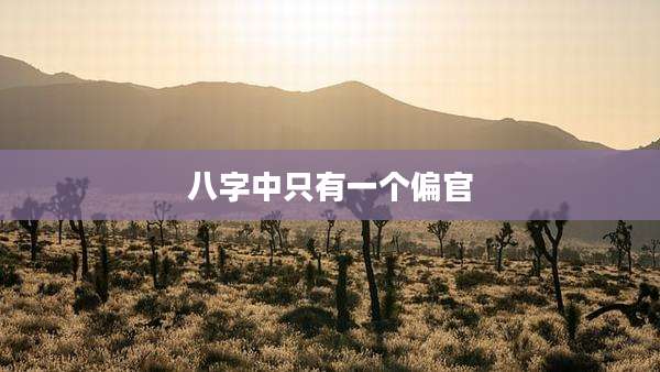 八字中只有一个偏官