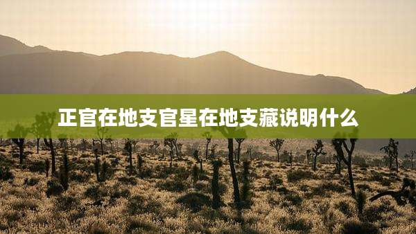 正官在地支官星在地支藏说明什么