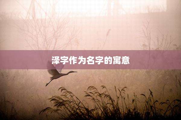 泽字作为名字的寓意