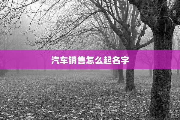 汽车销售怎么起名字