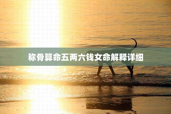 称骨算命五两六钱女命解释详细