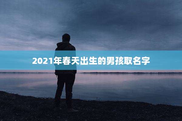 2021年春天出生的男孩取名字