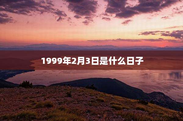 1999年2月3日是什么日子