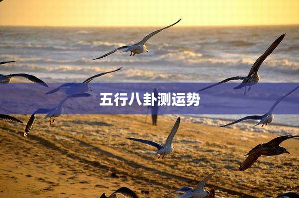 五行八卦测运势