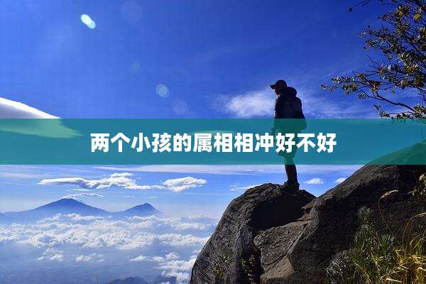 两个小孩的属相相冲好不好
