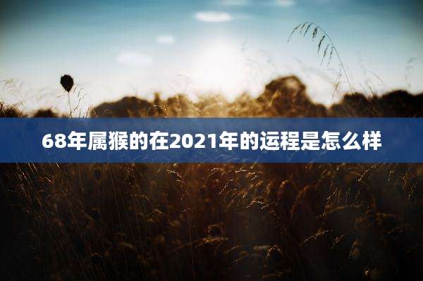 68年属猴的在2021年的运程是怎么样