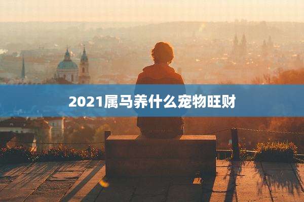 2021属马养什么宠物旺财
