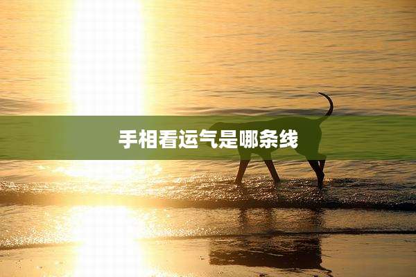 手相看运气是哪条线