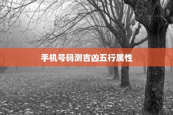 手机号码测吉凶五行属性