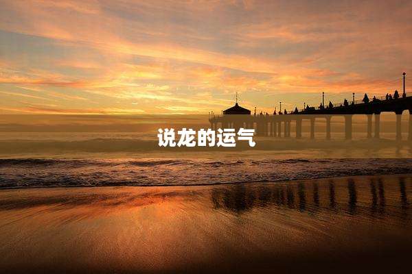 说龙的运气
