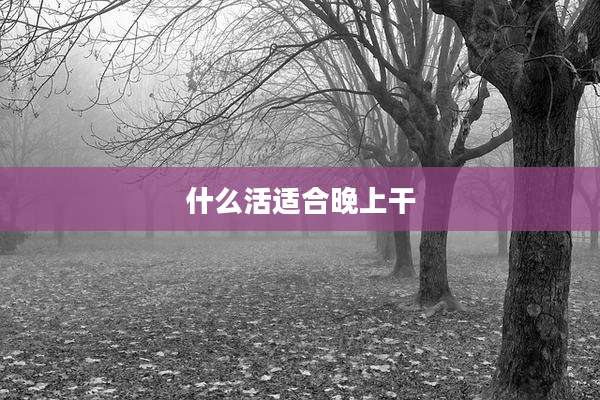 什么活适合晚上干