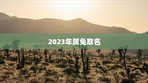 2023年属兔取名