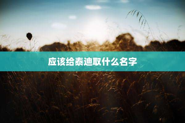 应该给泰迪取什么名字