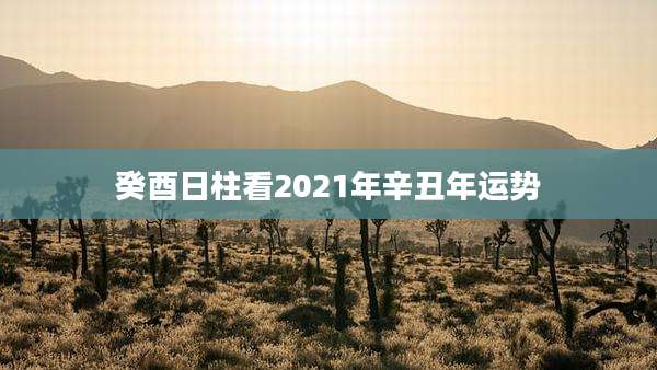 癸酉日柱看2021年辛丑年运势