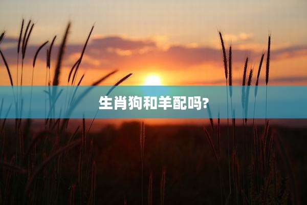 生肖狗和羊配吗?