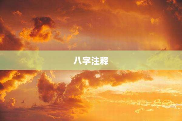 八字注释