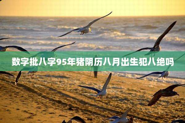 数字批八字95年猪阴历八月出生犯八绝吗