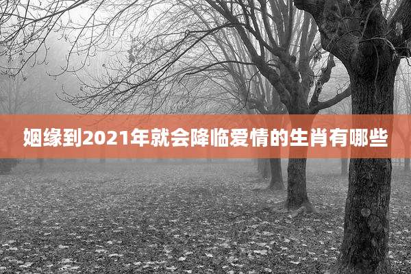 姻缘到2021年就会降临爱情的生肖有哪些