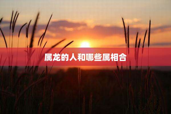 属龙的人和哪些属相合