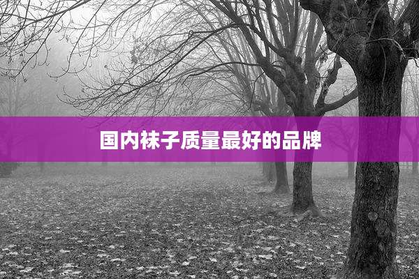 国内袜子质量最好的品牌