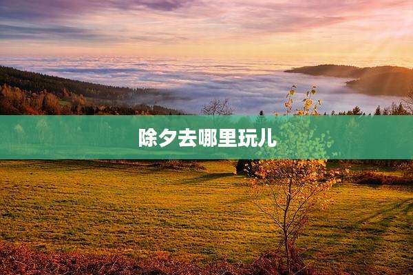 除夕去哪里玩儿