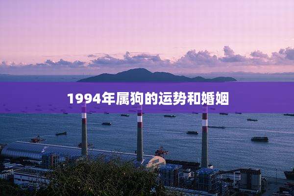 1994年属狗的运势和婚姻