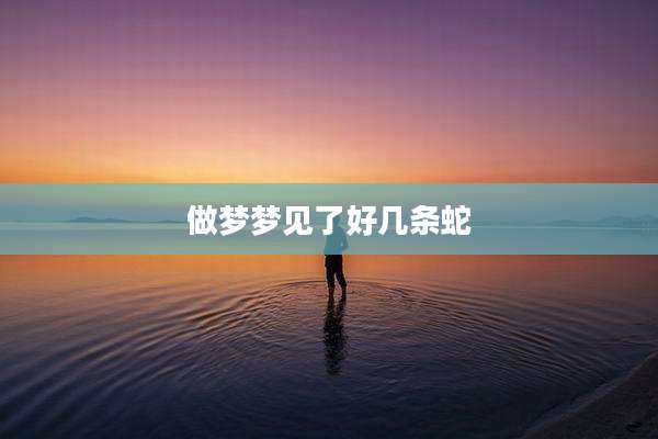 做梦梦见了好几条蛇