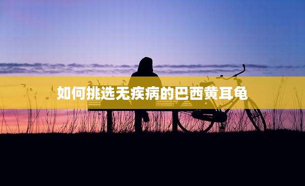 如何挑选无疾病的巴西黄耳龟