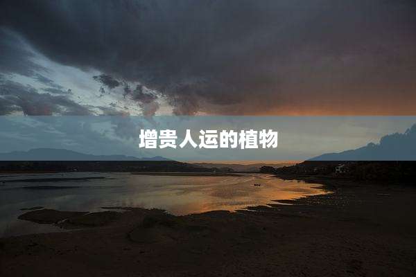 增贵人运的植物