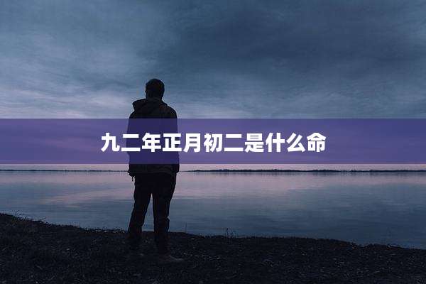 九二年正月初二是什么命