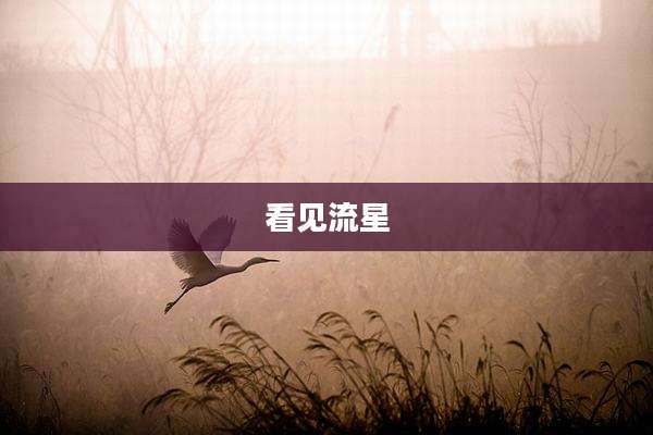 看见流星