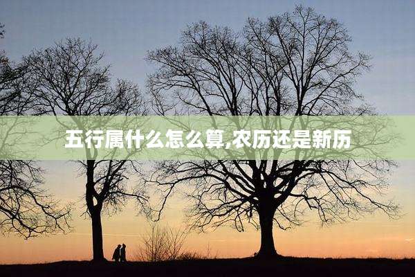 五行属什么怎么算,农历还是新历