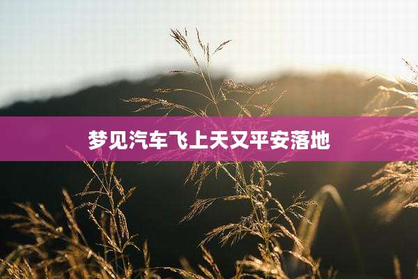 梦见汽车飞上天又平安落地