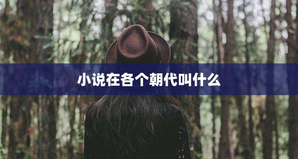 小说在各个朝代叫什么