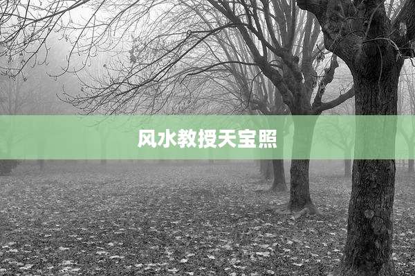 风水教授天宝照