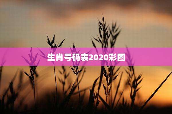 生肖号码表2020彩图