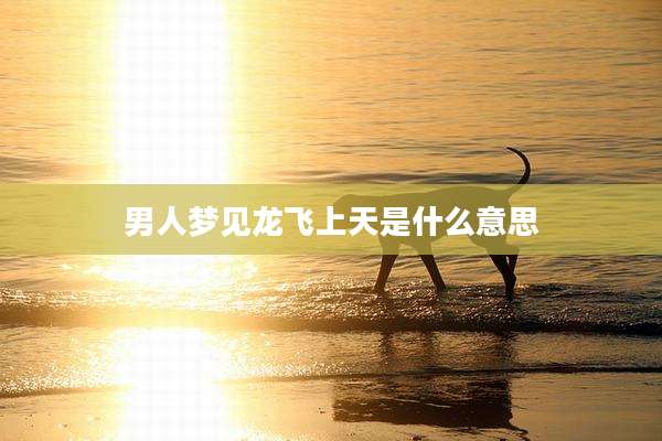 男人梦见龙飞上天是什么意思
