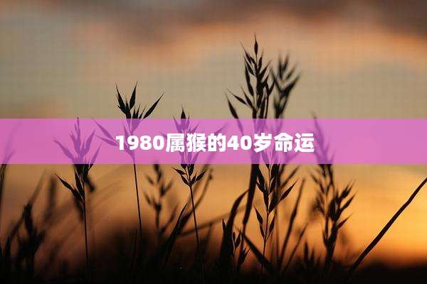 1980属猴的40岁命运