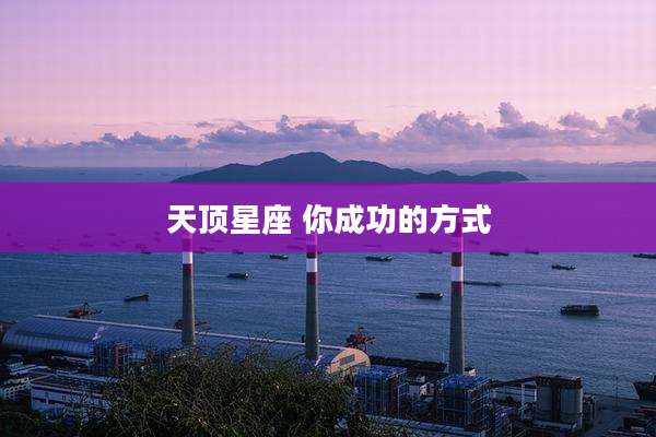 天顶星座 你成功的方式