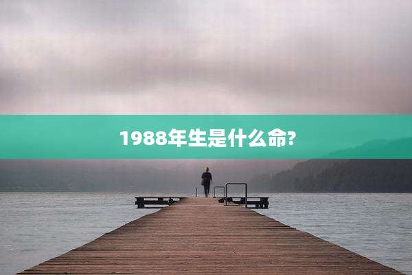 1988年生是什么命?