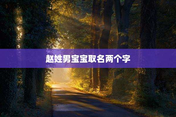 赵姓男宝宝取名两个字