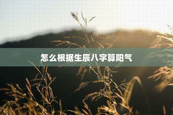 怎么根据生辰八字算阳气